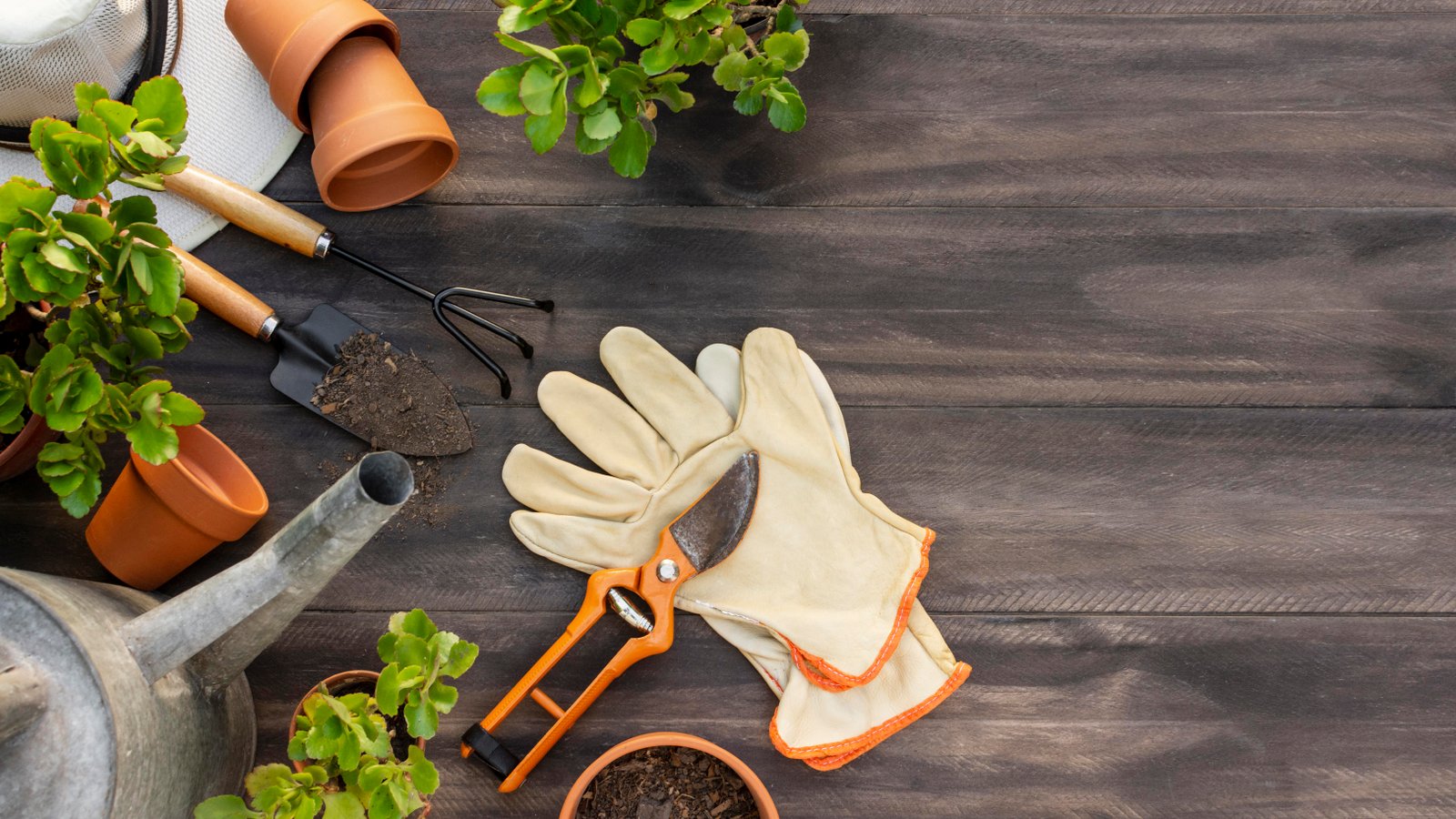 Herramientas de jardinería profesional