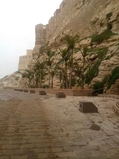 Ensenada de Los Galápagos - 3