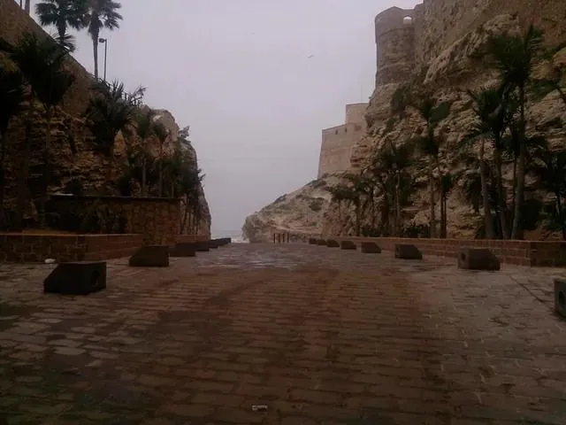 Ensenada de Los Galápagos - 4