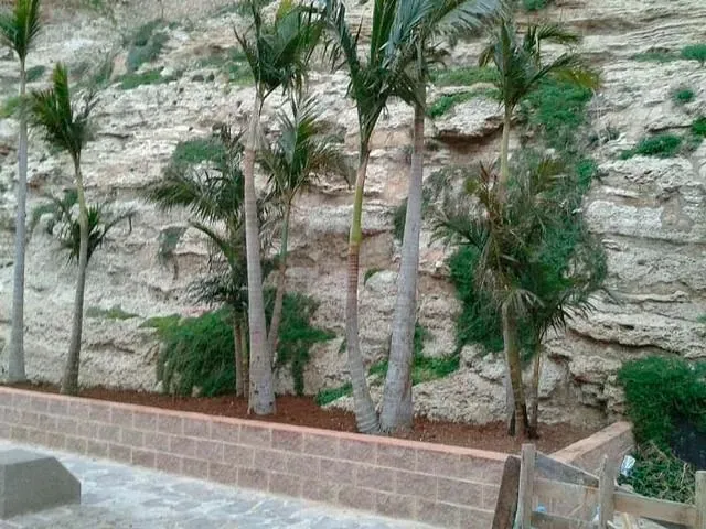 Ensenada de Los Galápagos - 5