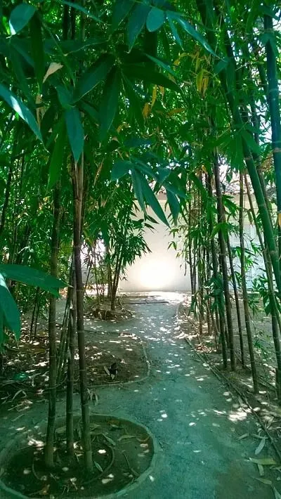 La Finca El Lentisco - 3