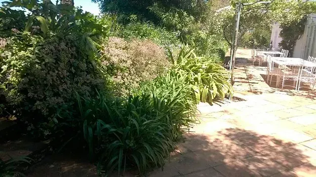 La Finca El Lentisco - 4