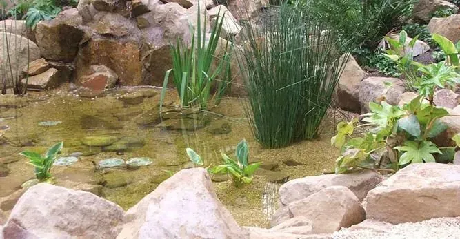 Restaurante Montana - 1